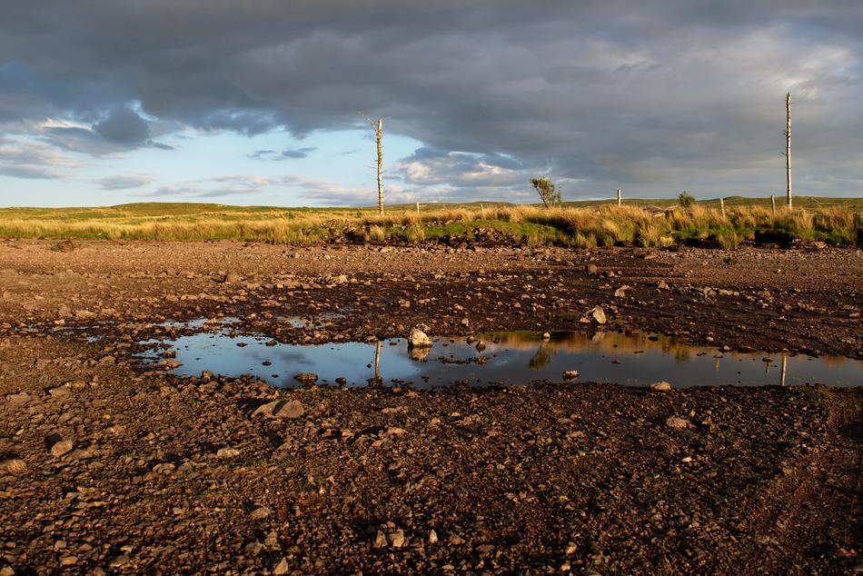 a big wet field with grass