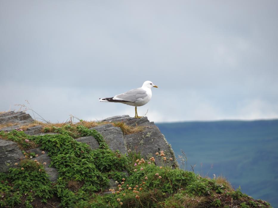 Easdale Scotland Vacations