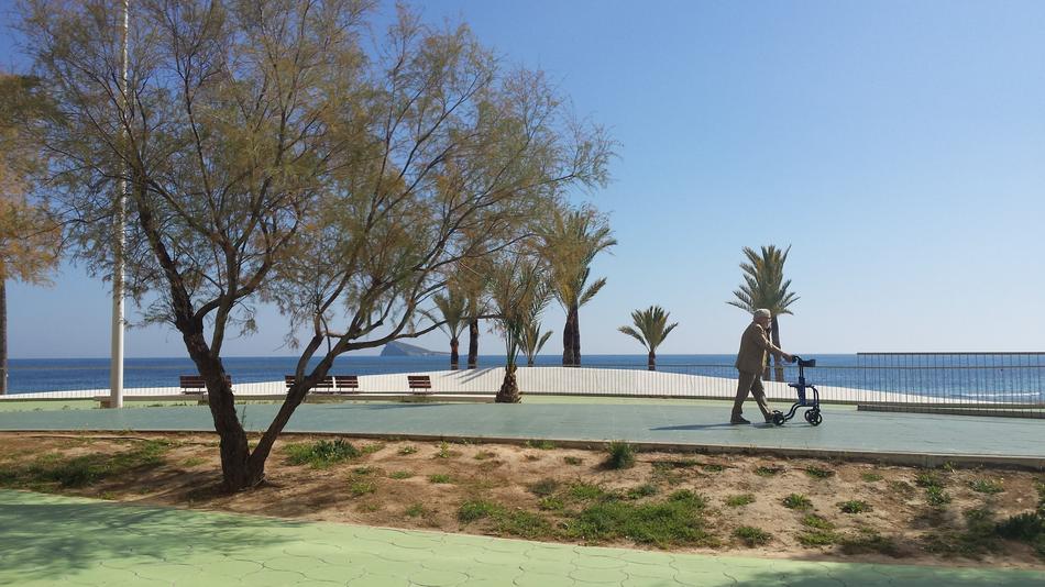 people walking in the park