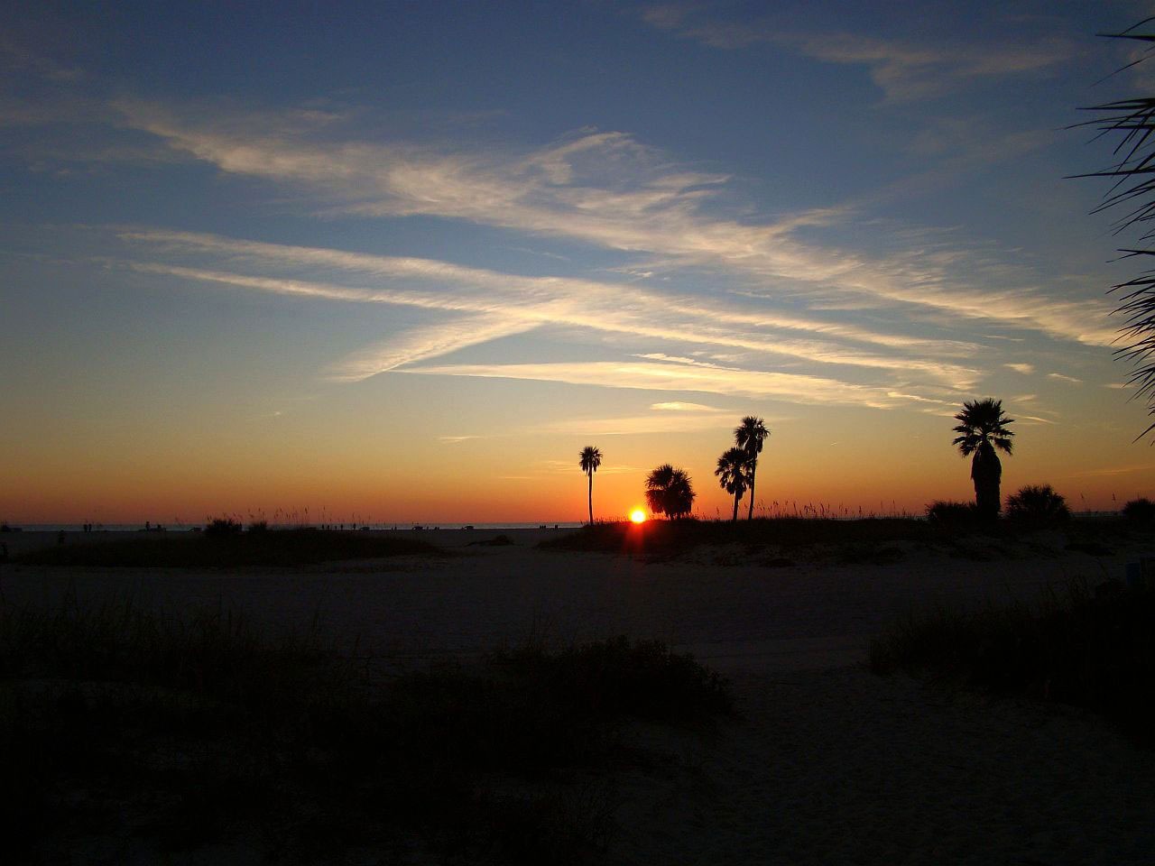 Beach Sunset Tree Free Image Download