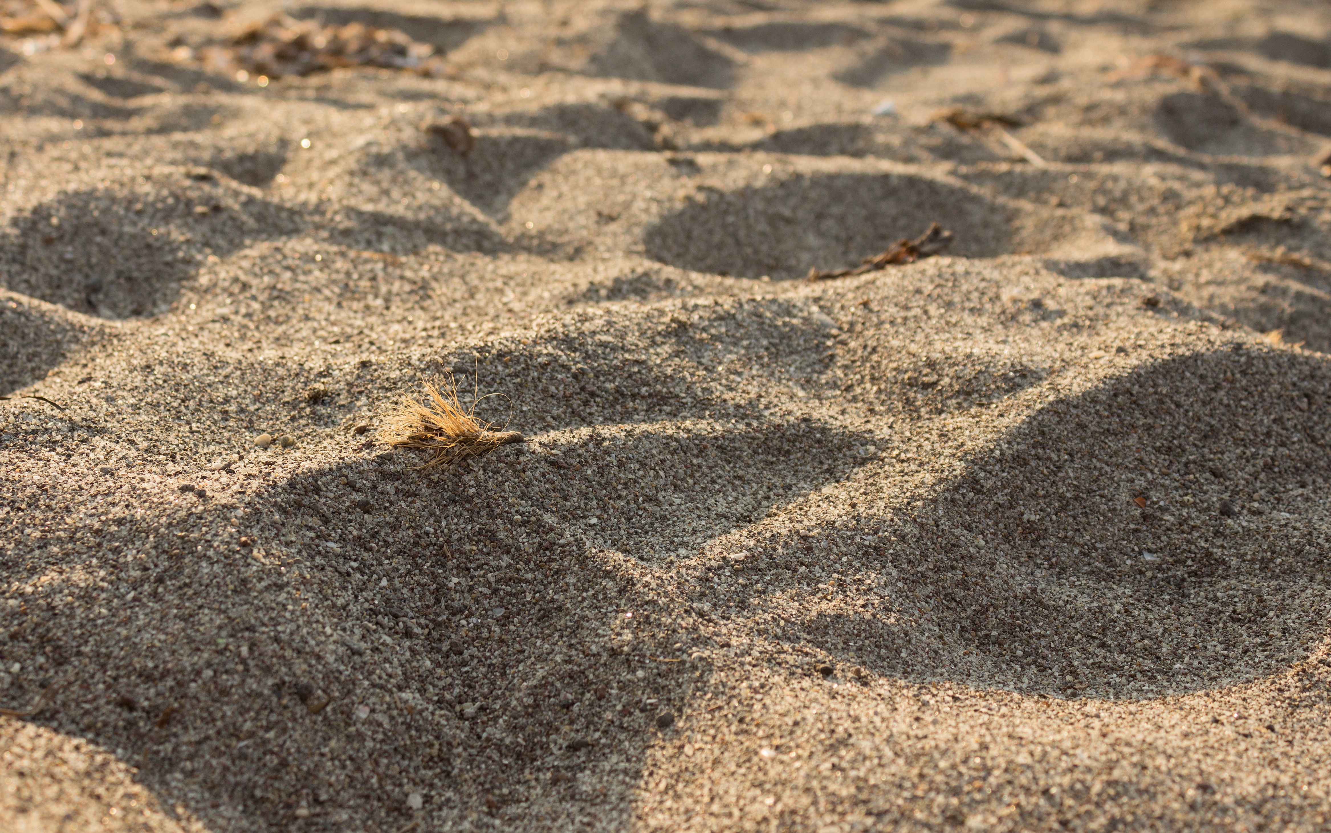 Пляж с крупным песком