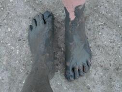 Mudflat Hiking Watts Wadden Sea