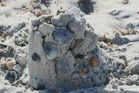 Sand Shell Ocean