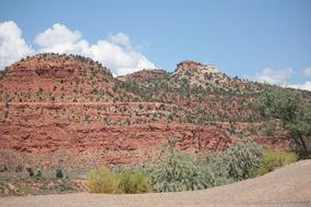 green shrubs in red rocky desert, usa, Arizona