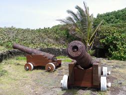 Cannons Gun Military