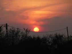 Sunset in countryside, sun over power line