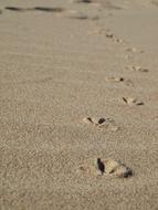 Beach Footprints Sand
