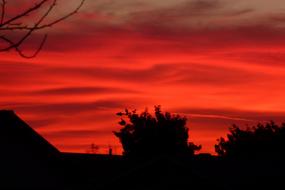 red sunset silhouette