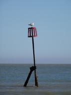 Seagull Perch Sea