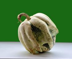 Gourd Ornamental Fruit