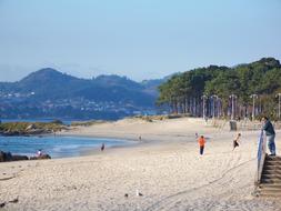 Beach Ocean Sand