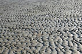 Beach Ebb Sea