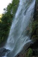 waterfall with trees in the forest