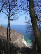 trees overlooking the lake