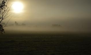 sun with meadow and fog
