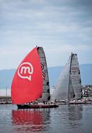 Sailboat Regatta Racing