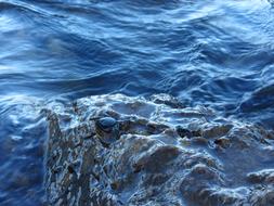 beautiful water patterns