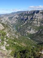 mountains with plants