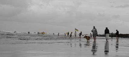 nice people walking on the sea