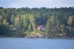 house in the forest