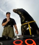 the man with the seal show