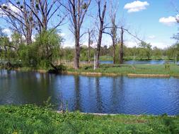 River Blue Landscape