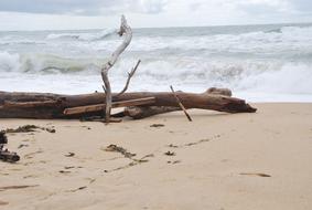 Ocean Waves Beach