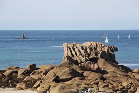 rocky beach with seagulls