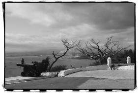 Gibraltar Black And White Cannon