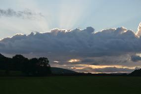 beautiful sunset in the meadow