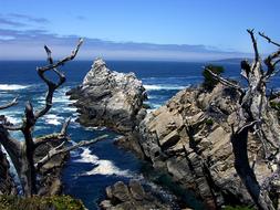 Point Lobos California Rocks