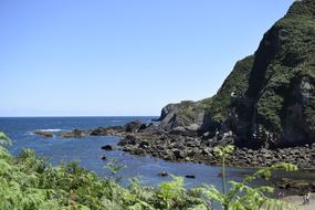 beautiful sea landscape with mountains and plants