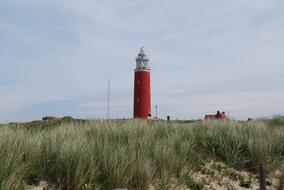 Sea Beach