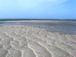 waves white seas