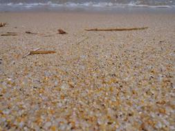 Sea Sand Sandy Bathing