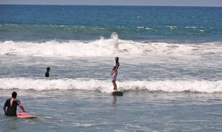 Surfing Sea Ocean