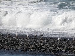 sea wave on stones white