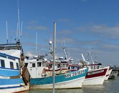 Port Fishing
