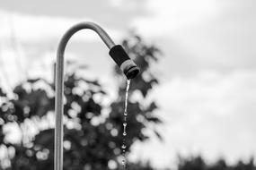 water faucet black white