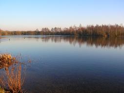 Daneshill Lake Water