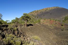green hill with trees high