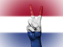 peace sign on the background of the flag