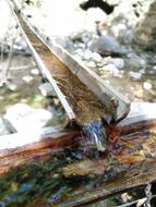 Mountain Water Travel