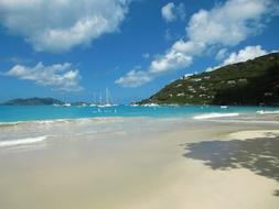 Beach Palm Trees Vacations