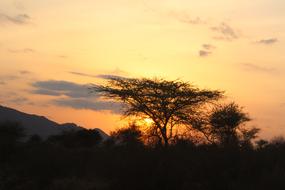 Sunset Natural