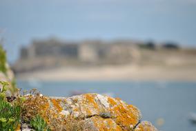 Brittany Sea Rock