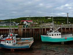 colored fishing boats at the pier