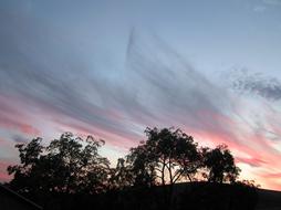 Sunset Trees Sky