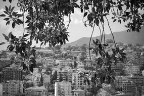 Italy Journey At Home