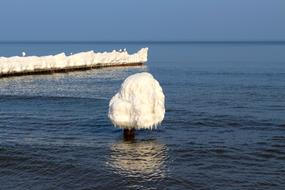 Sea Ice Cold